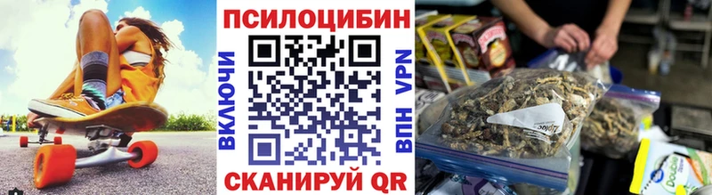 Галлюциногенные грибы Psilocybine cubensis  Гулькевичи 
